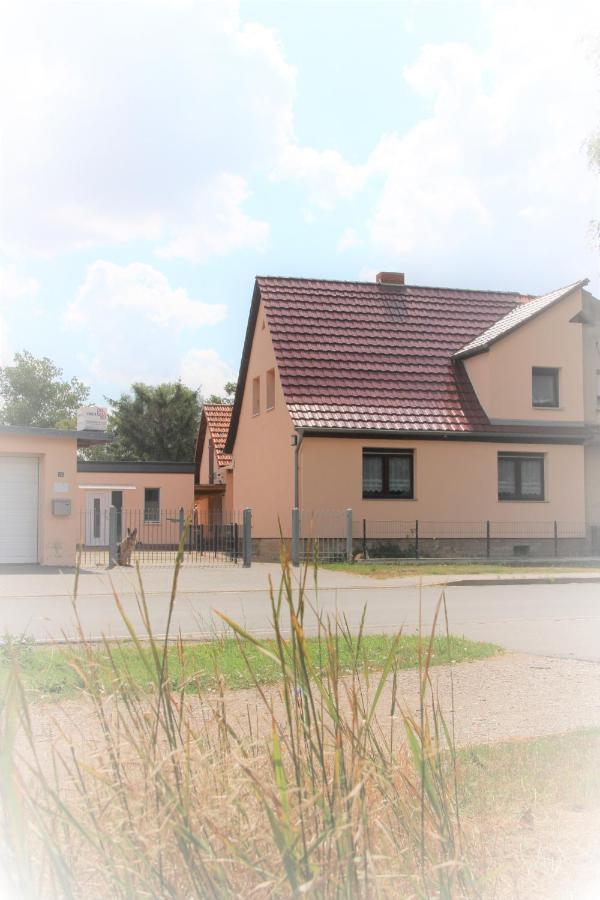 Landhaus "Zum Frosch" Kalbsrieth Exterior photo
